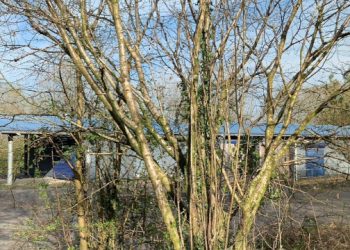 Pontycymer flats approved; outline permission for housing at former Groundworks offices