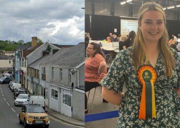 County councillor resigns on health grounds; condemns abuse