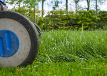 Grass-cutting services set to be brought back “in-house”