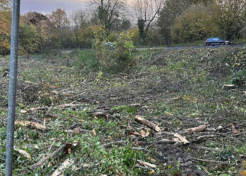 “Apocalyptic hellscape” left following ash dieback works