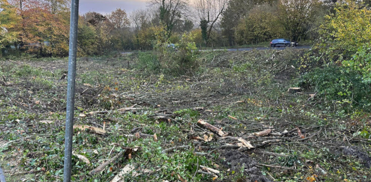 “Apocalyptic hellscape” left following ash dieback works