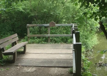 Bridgend Council declares nature emergency