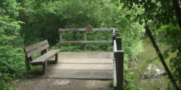 Bridgend Council declares nature emergency