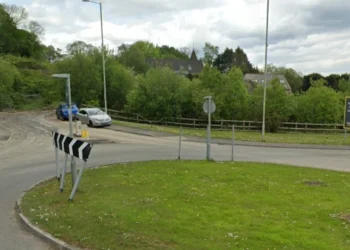Developer seeks to delay delivery of mini-bypass