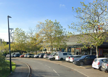 Community councils go it alone for election review