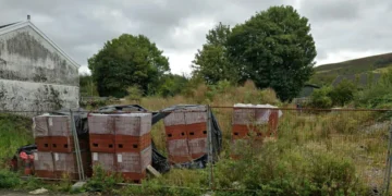 Council to lobby for action on vacant sites
